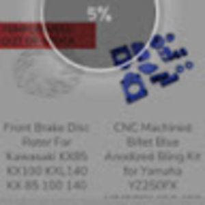 Meet your Posher, Lenny